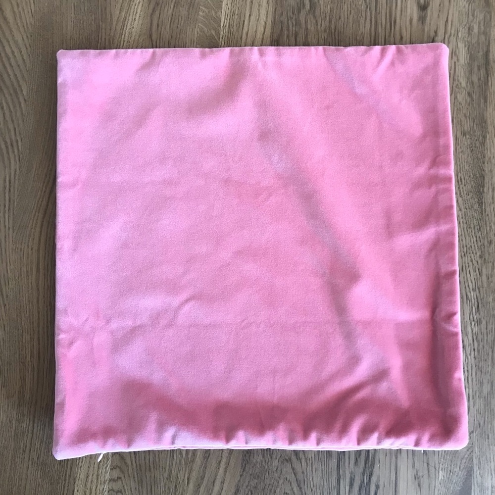 Throw Pillow Cover (New)